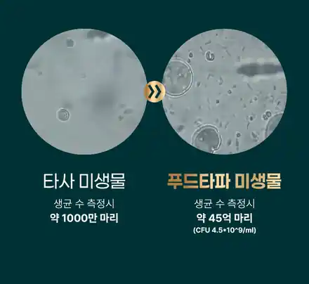 일반 미생물과 푸드타파 미생물 비교