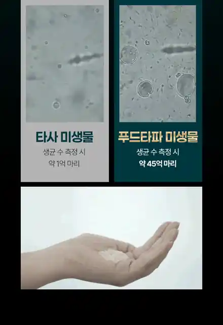미생물 분해 비교